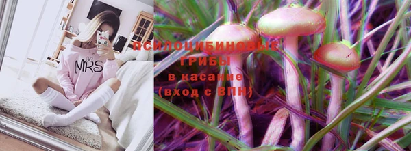 не бодяженный Алзамай